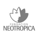 _4 Neotropica